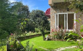 Prana Living Darima